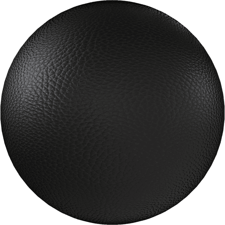 Black Leather 24 by Share Textures