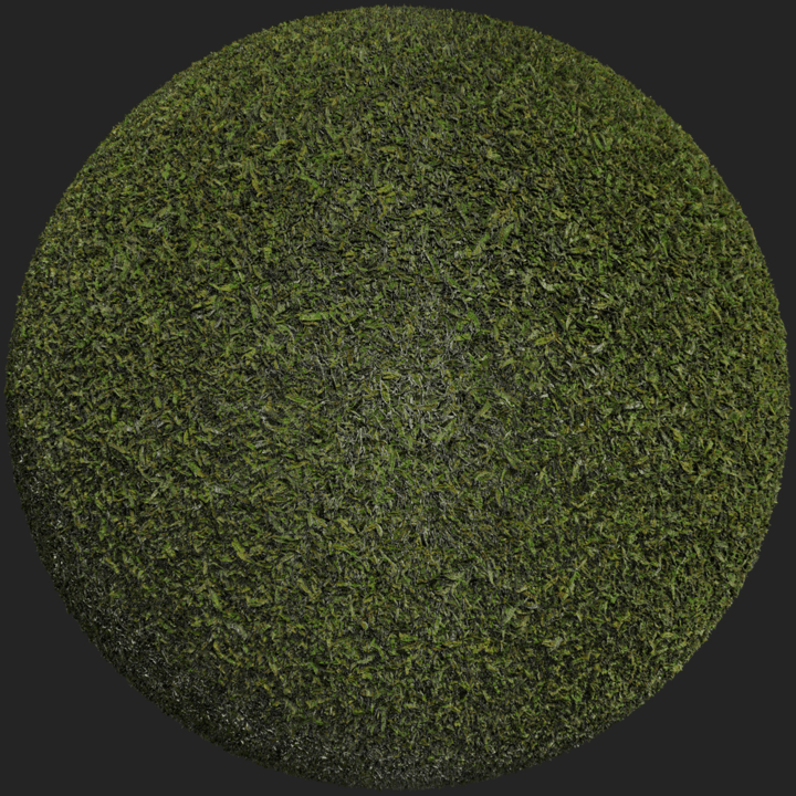 Grass 003