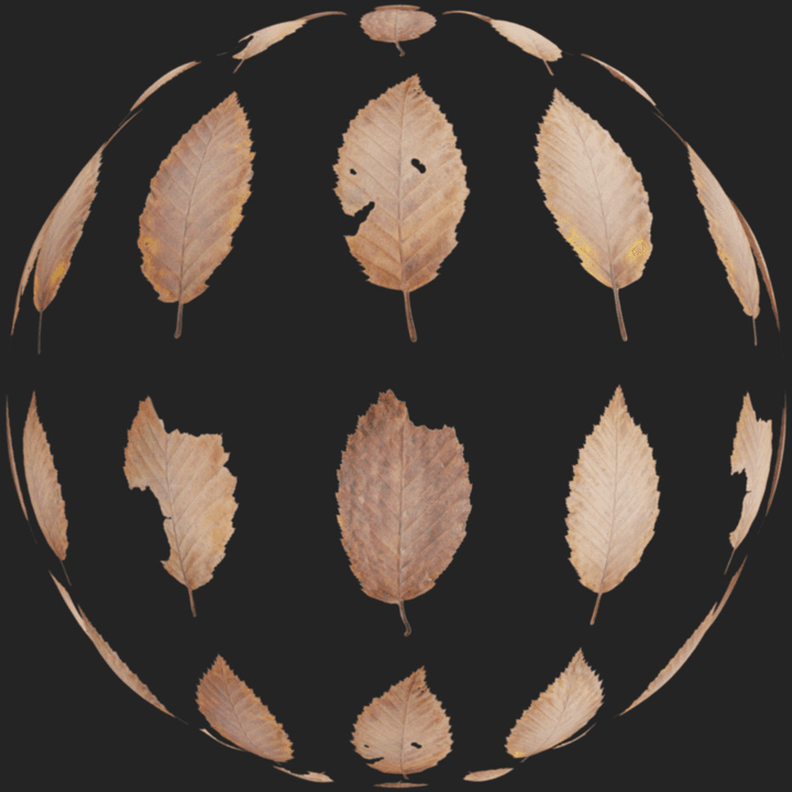 Leaf Set 011