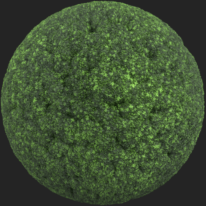 Moss 003