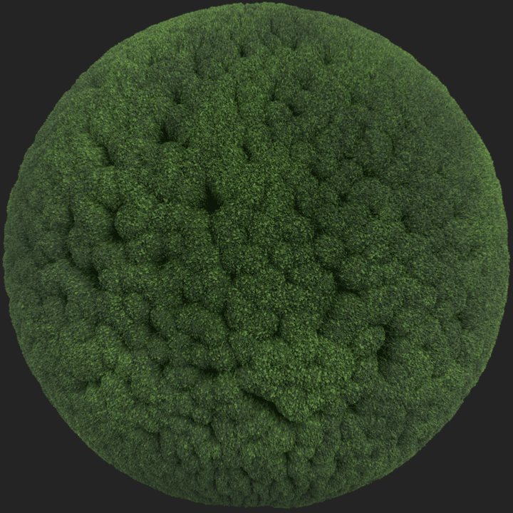 Moss 004