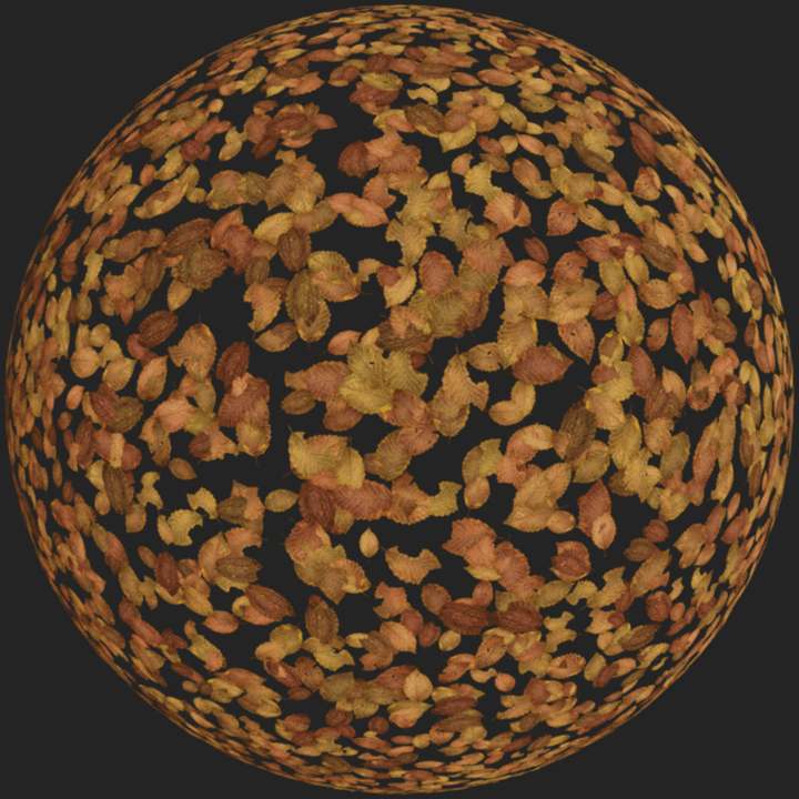 scattered,fall,leaves,leaf,floor,orange,scattered-leaves,brown,autumn