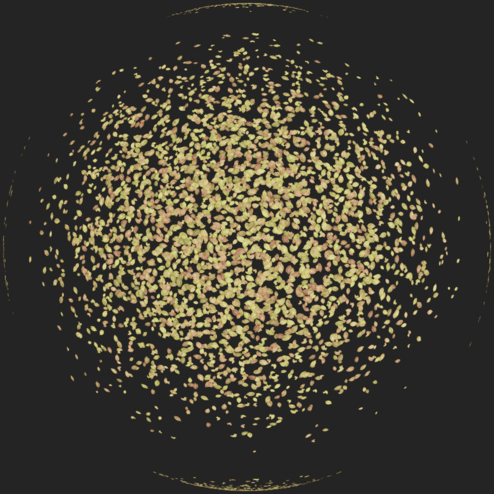 Scattered Leaves 004