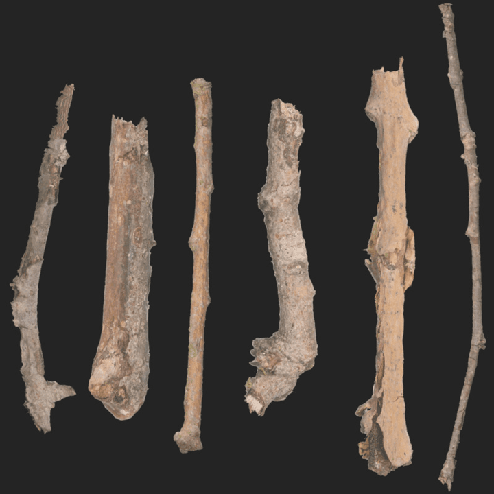 stick-set,wood,set,sticks,stick,forest,wooden