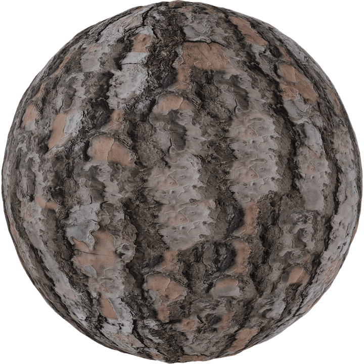 PBR Bark Texture 14