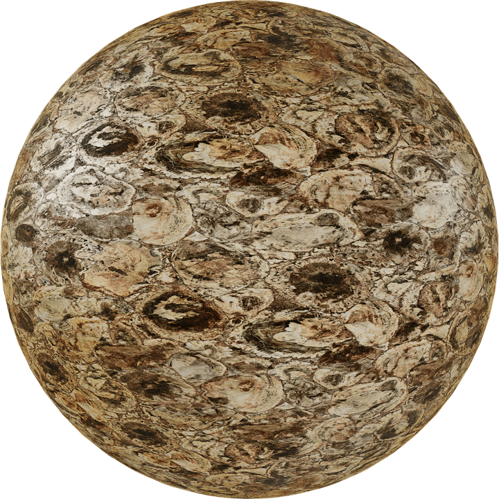 Petrified Wood Marble