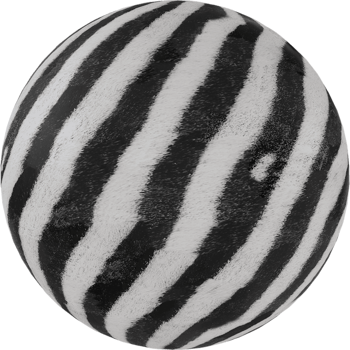 Zebra Skin