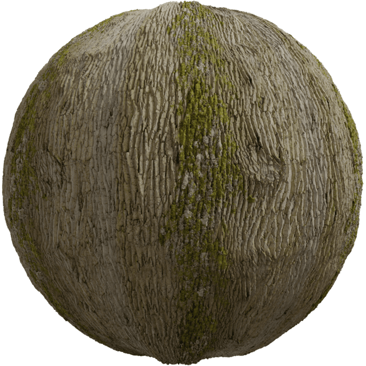 Tree Bark 03