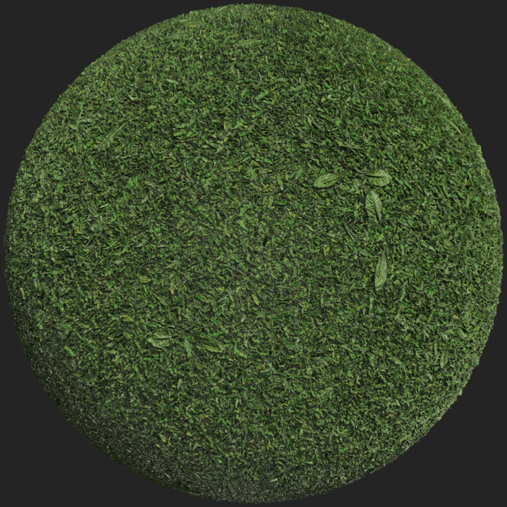 Grass 001