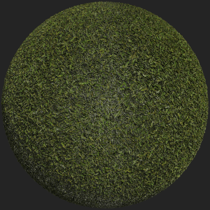 grass,green,ground