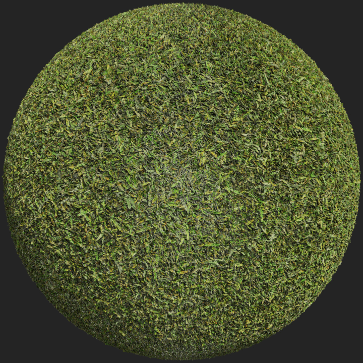 Grass 004