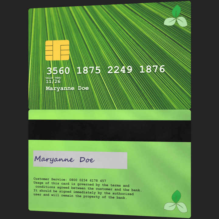 Payment Card 003