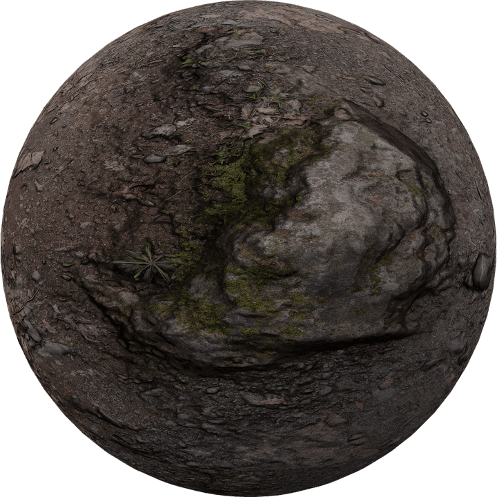 forest-ground,forest-road,rock-texture