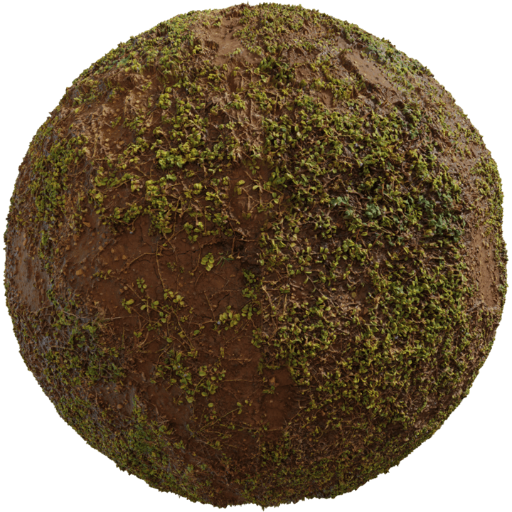 moss,outdoor,orange,stones,terrain,mud,natural,grass,forest